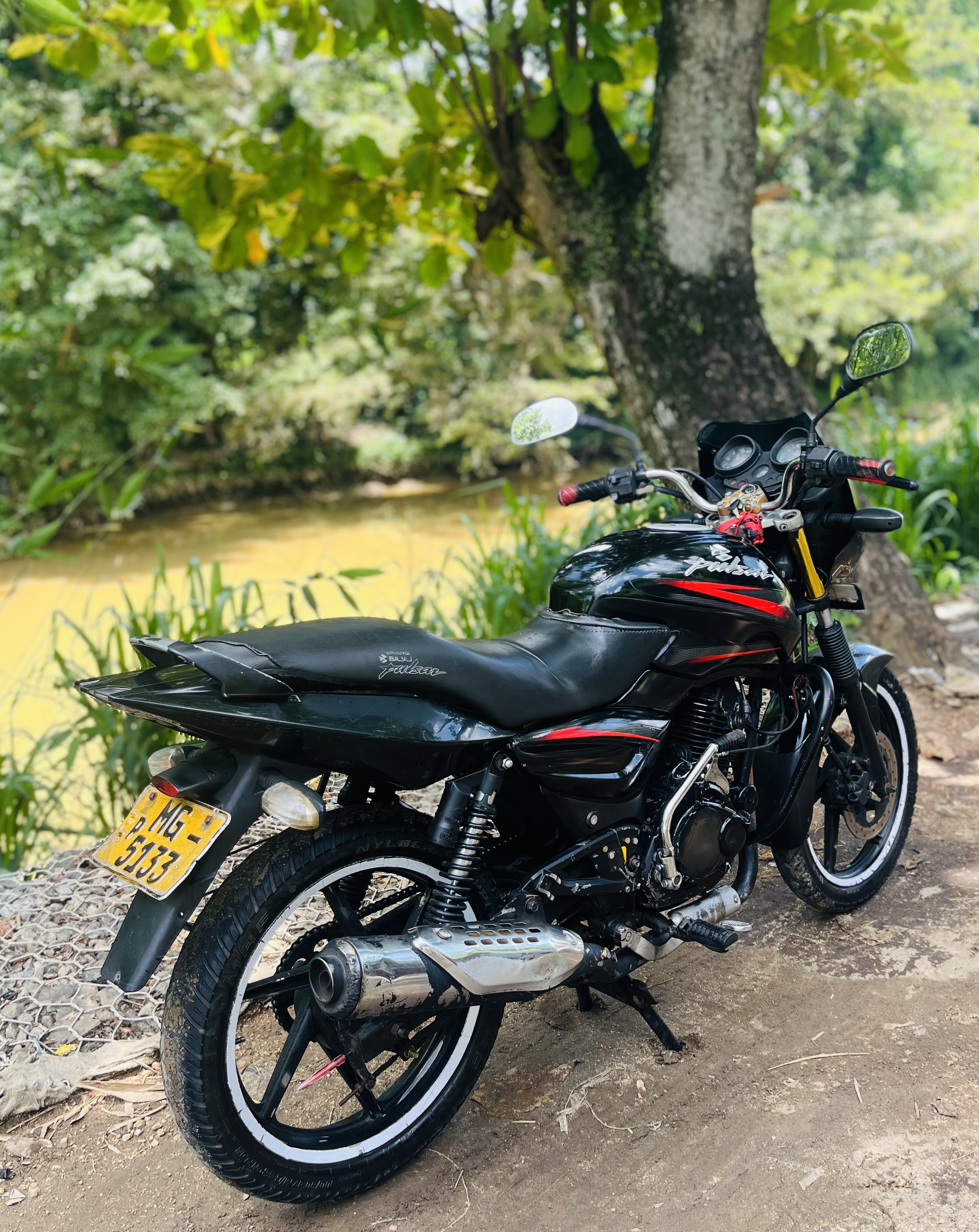 Bajaj Pulsar 2005 - Used Bike sale in Sri Lanka - patpat.lk