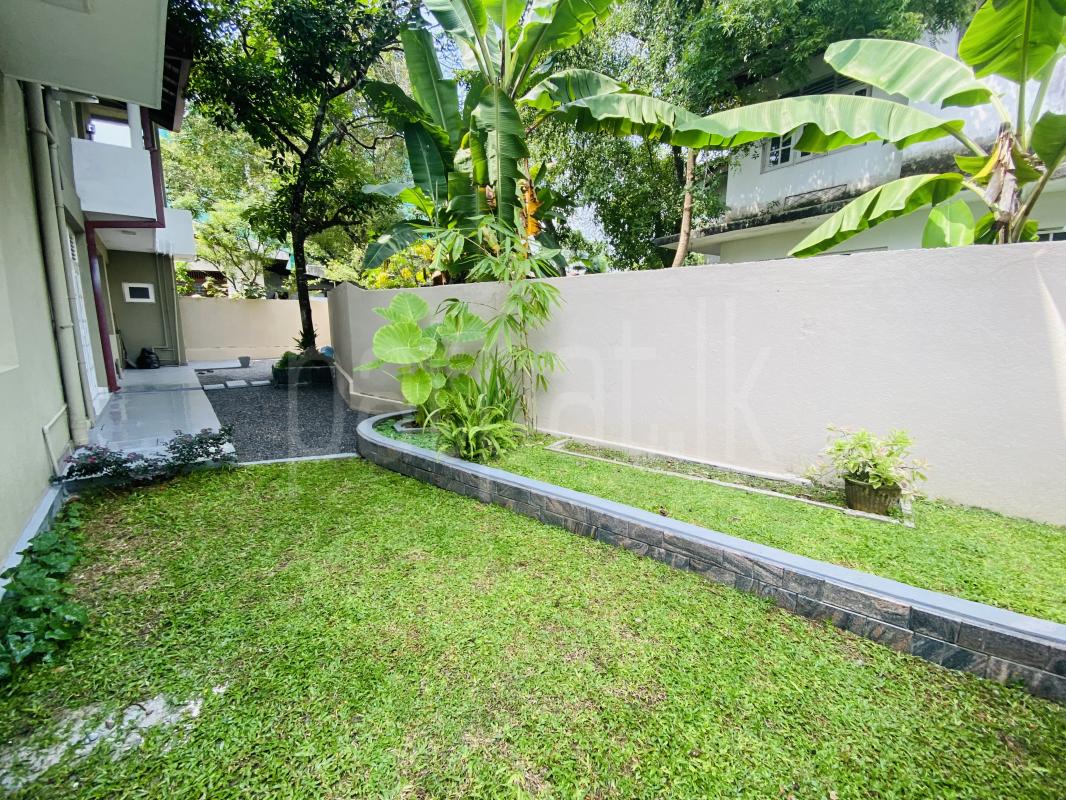 Advertisement image 7