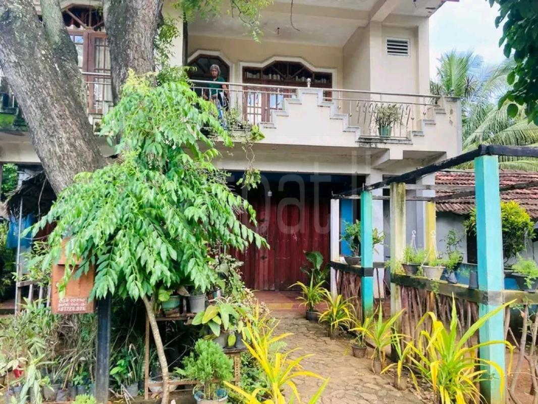 House for Sale in Embilipitiya ads-image-1