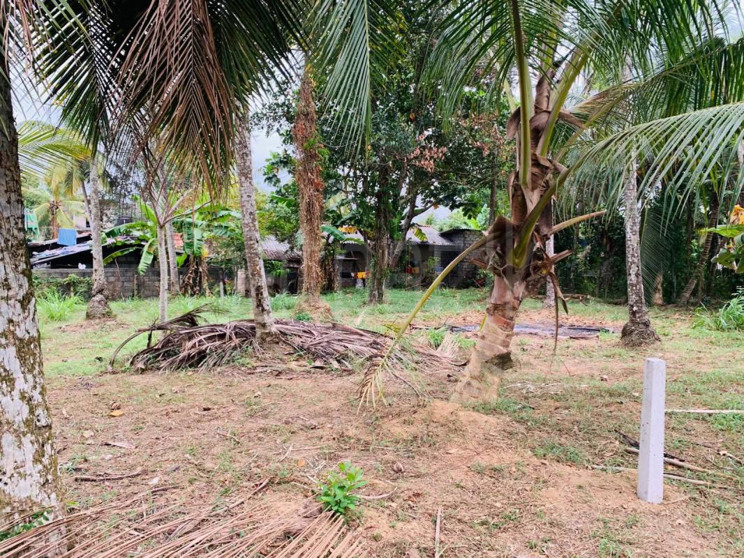 Agricultural Land for Sale in Kadawatha