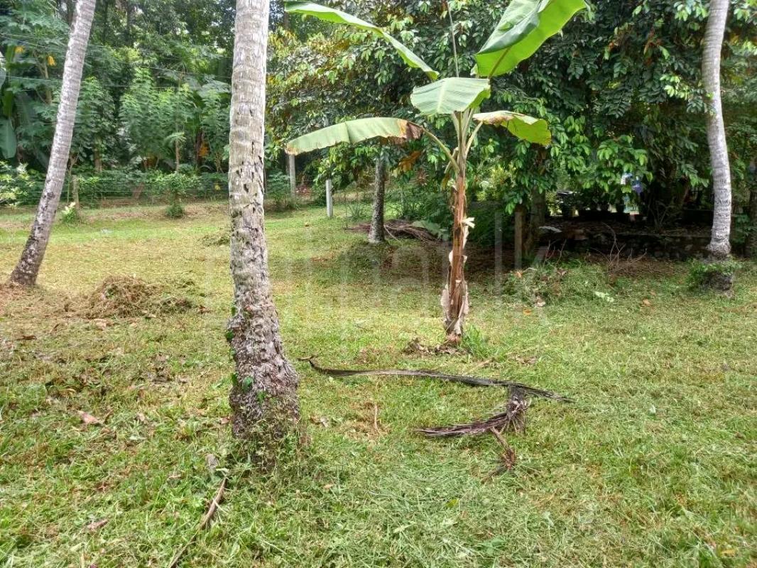Agricultural Land for Sale in Gampola