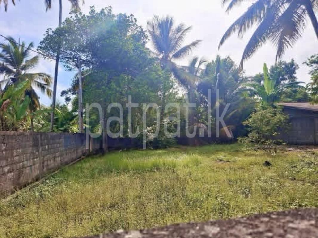 Advertisement image 6