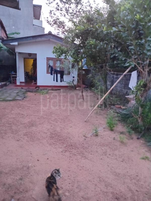 Residential Land for Sale in Makola