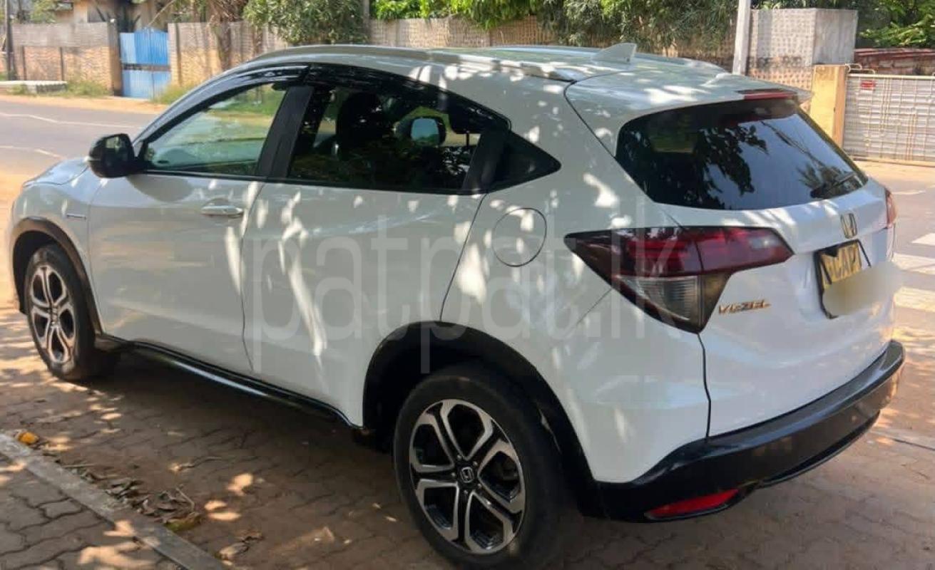 Advertisement image 1