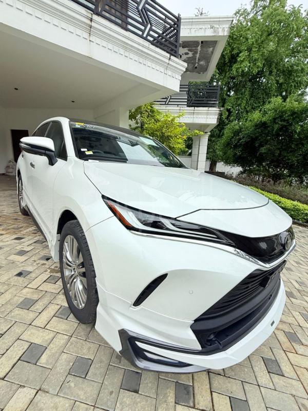 Advertisement image 6