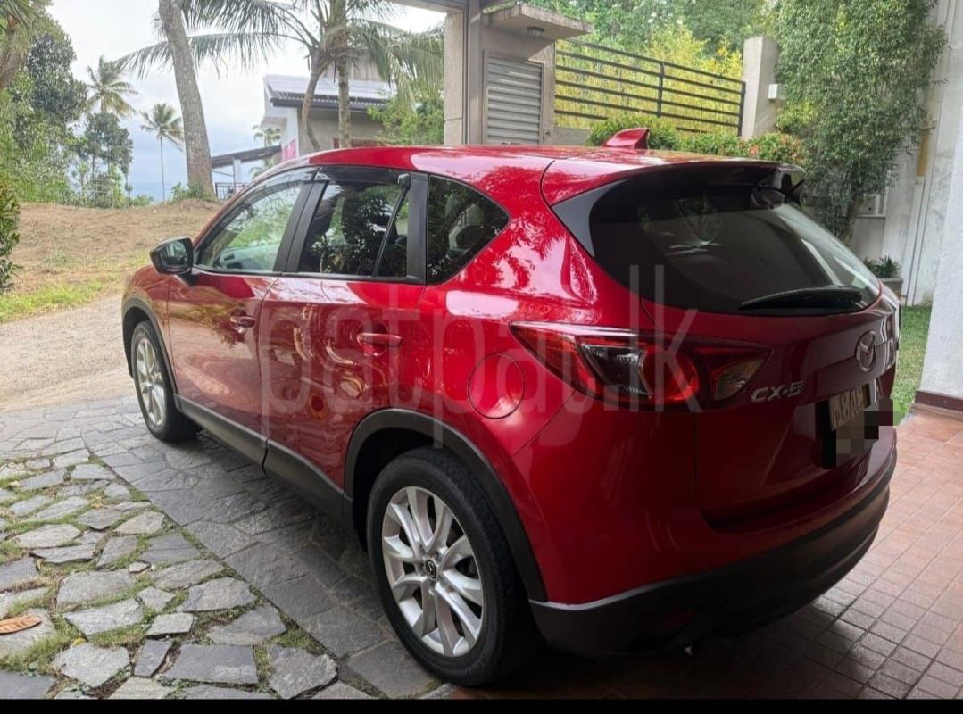 Advertisement image 4