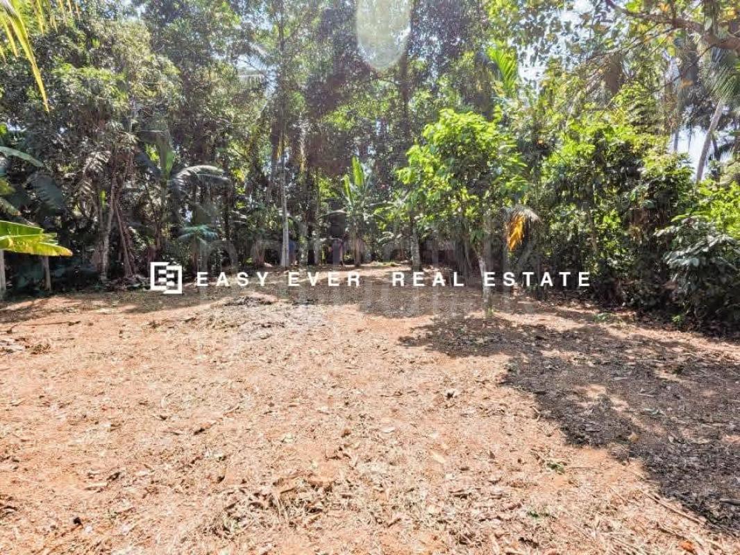 Residential Land for Sale in Kirillawala