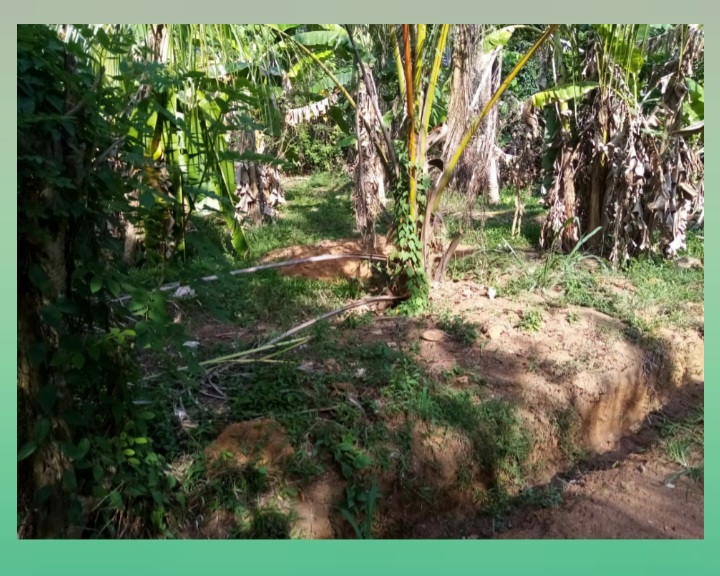 Residential Land for Sale in Mirigama