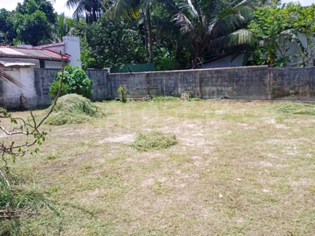 Agricultural Land for Sale in Polgahawela