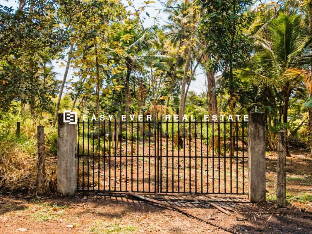 Residential Land for Sale in Gampaha
