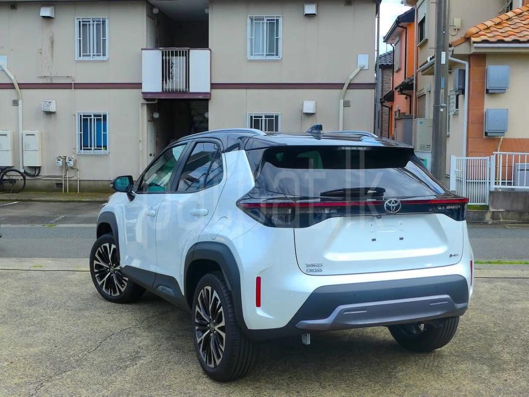 Advertisement image 2