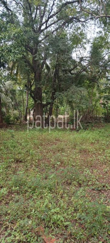 Residential Land for Sale in Kataragama