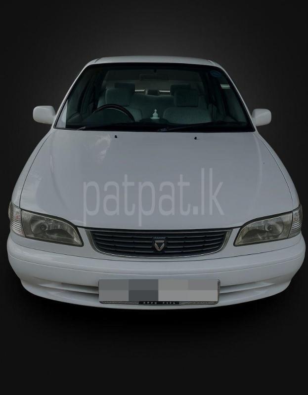 Advertisement image 1