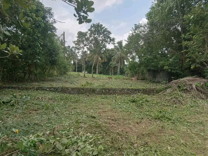Commercial Land for Sale in Veyangoda