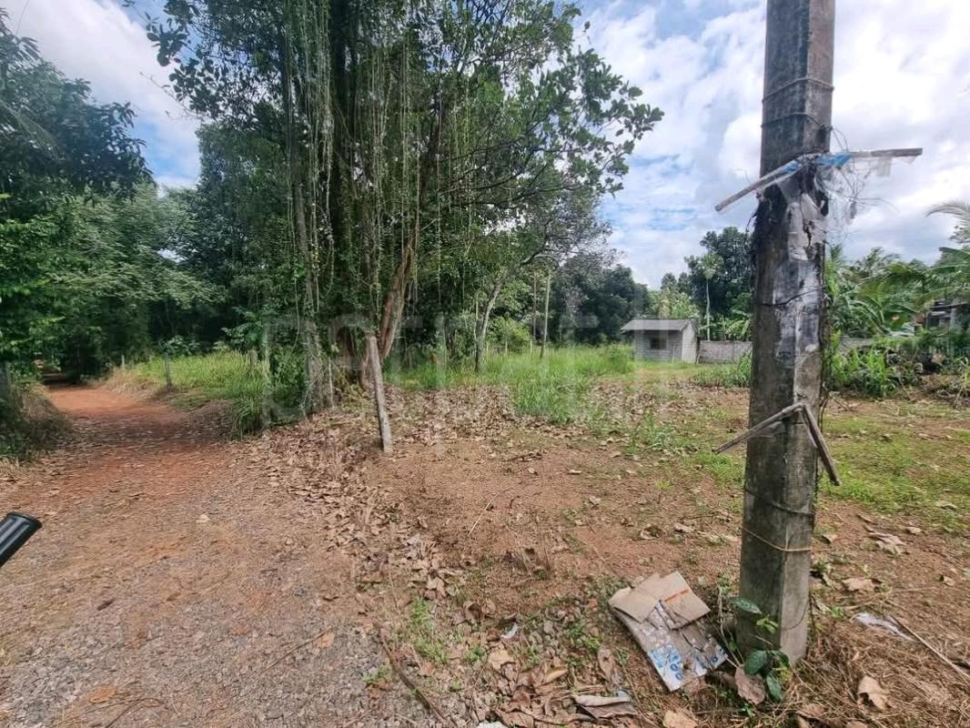 Residential Land for Sale in Horana