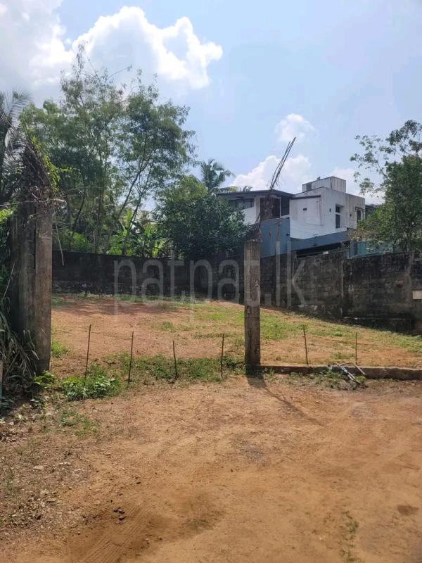 Residential Land for Sale in Ja-Ela