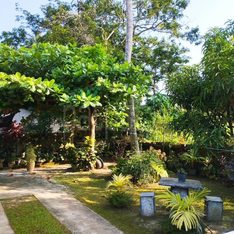 House for Sale in Negombo