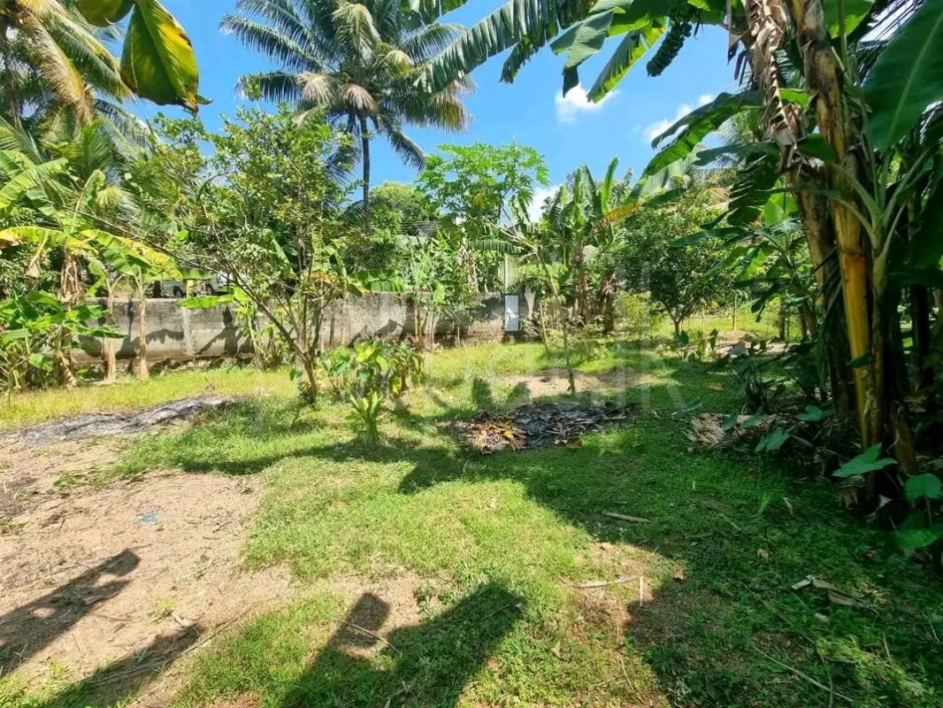 Residential Land for Sale in Piliyandala