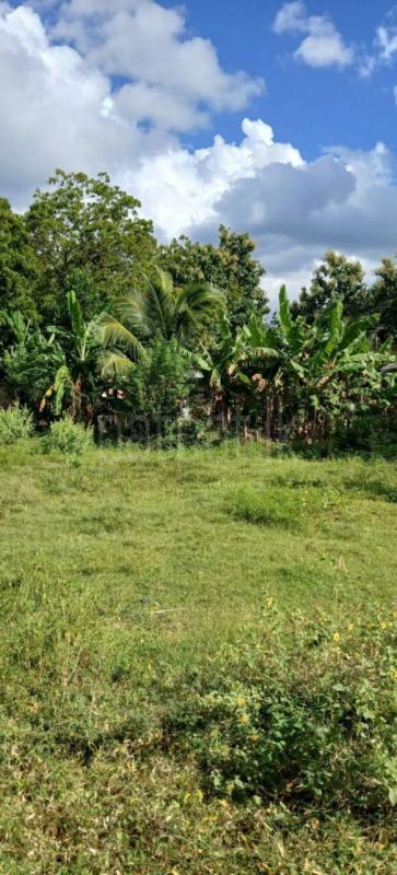 Residential Land for Sale in Kataragama ads-image-1