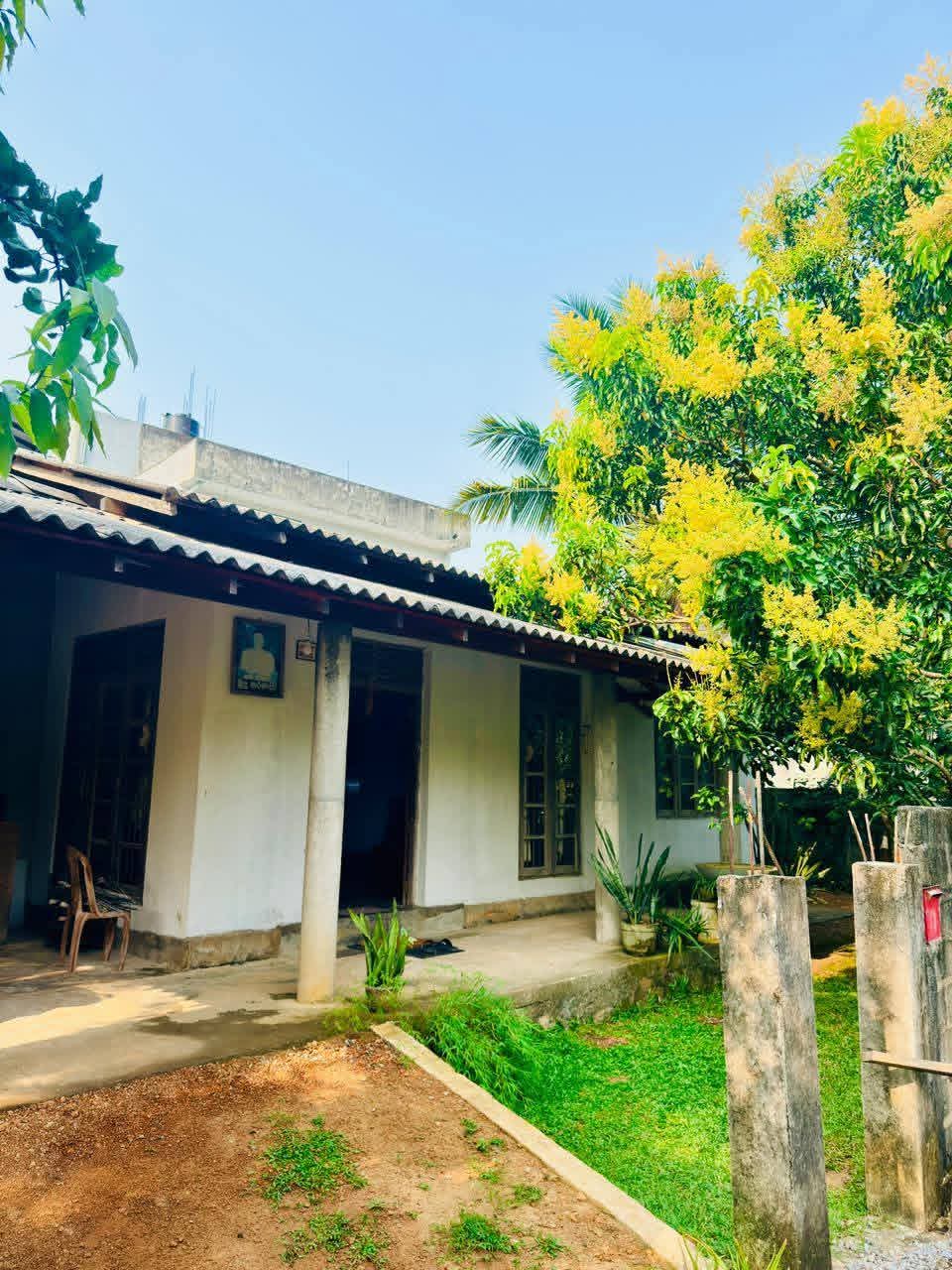 House for Sale in Piliyandala