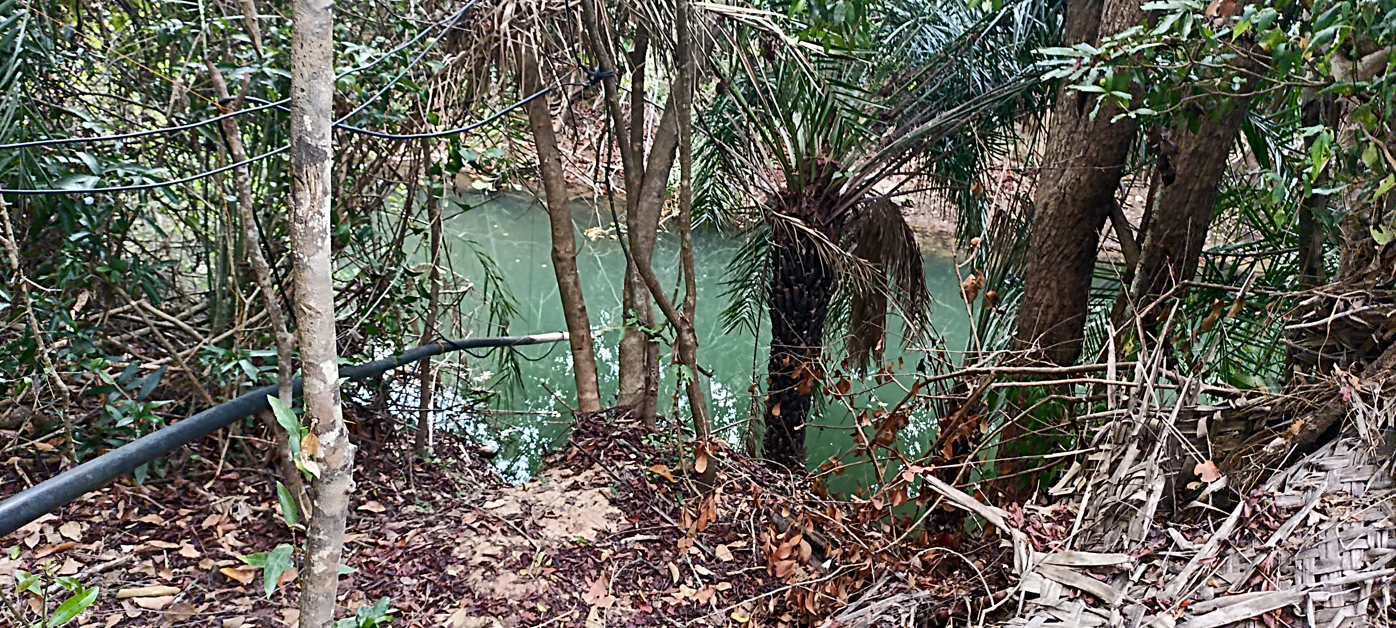 Agricultural Land for Sale in Puttalam