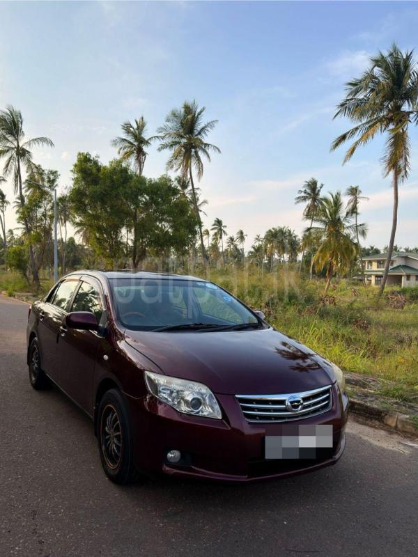 Advertisement image 3