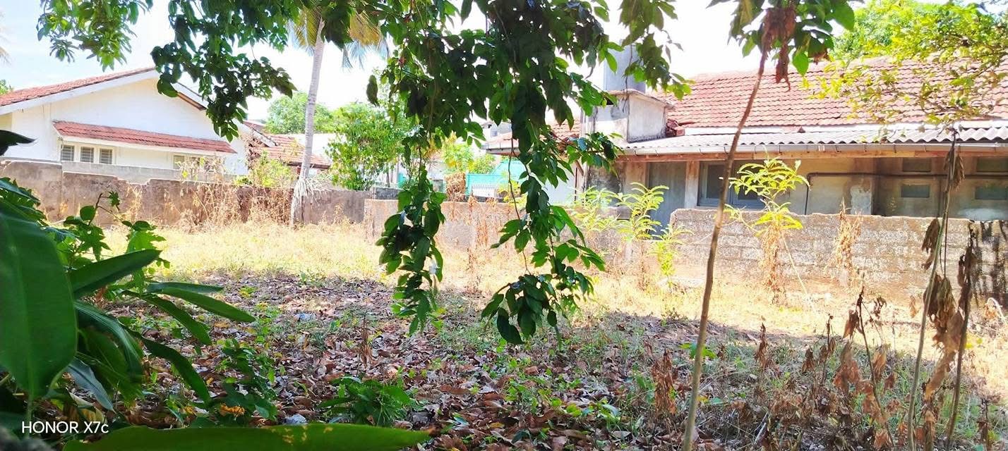 Agricultural Land for Sale in Panadura ads-image-1