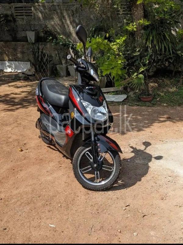 Advertisement image 4