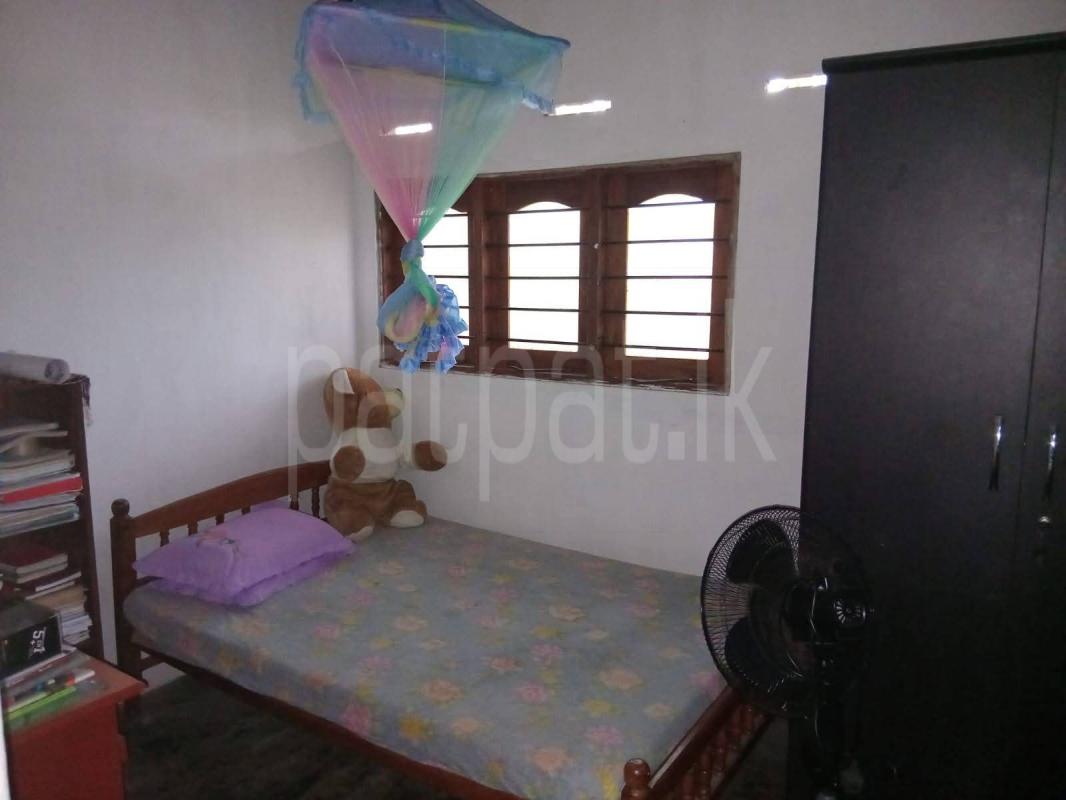 House for Sale in Divulapitiya ads-image-1