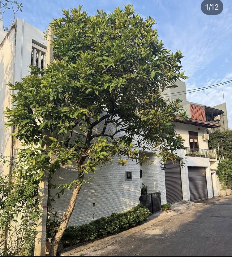 House for Sale in Talawatugoda ads-image-1