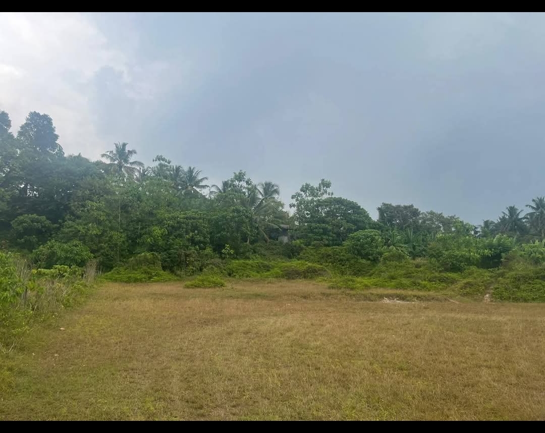 Residential Land for Sale in Hanwella ads-image-1
