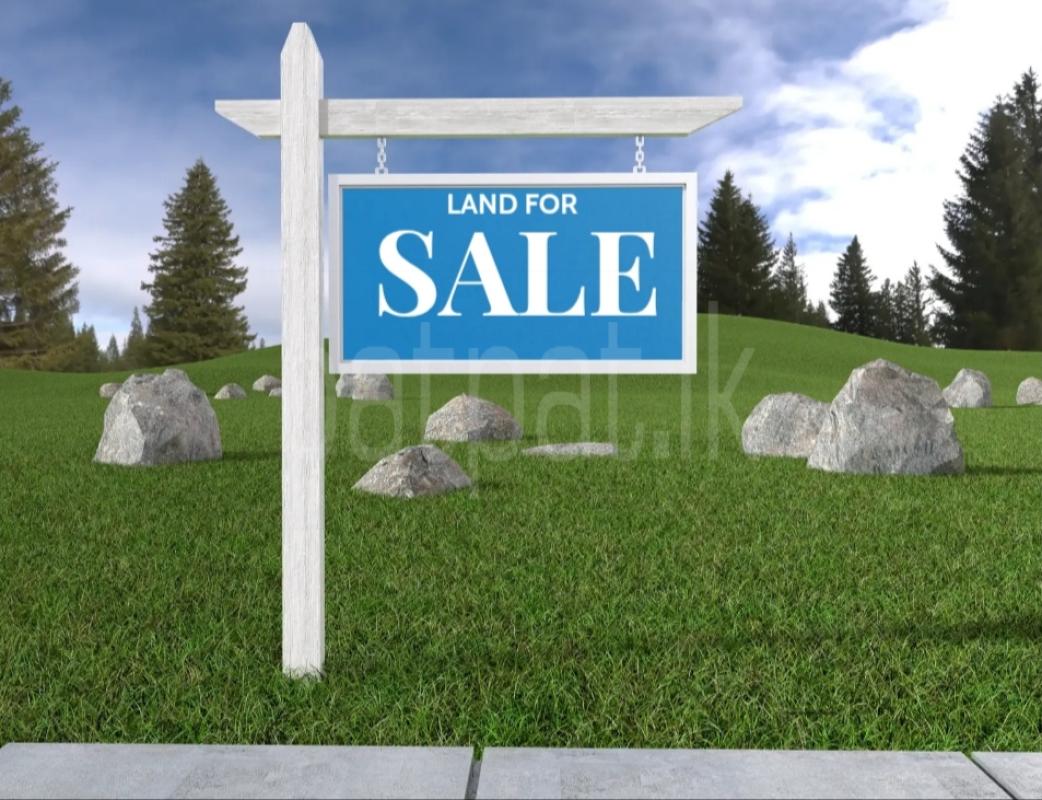 premium-listing-image