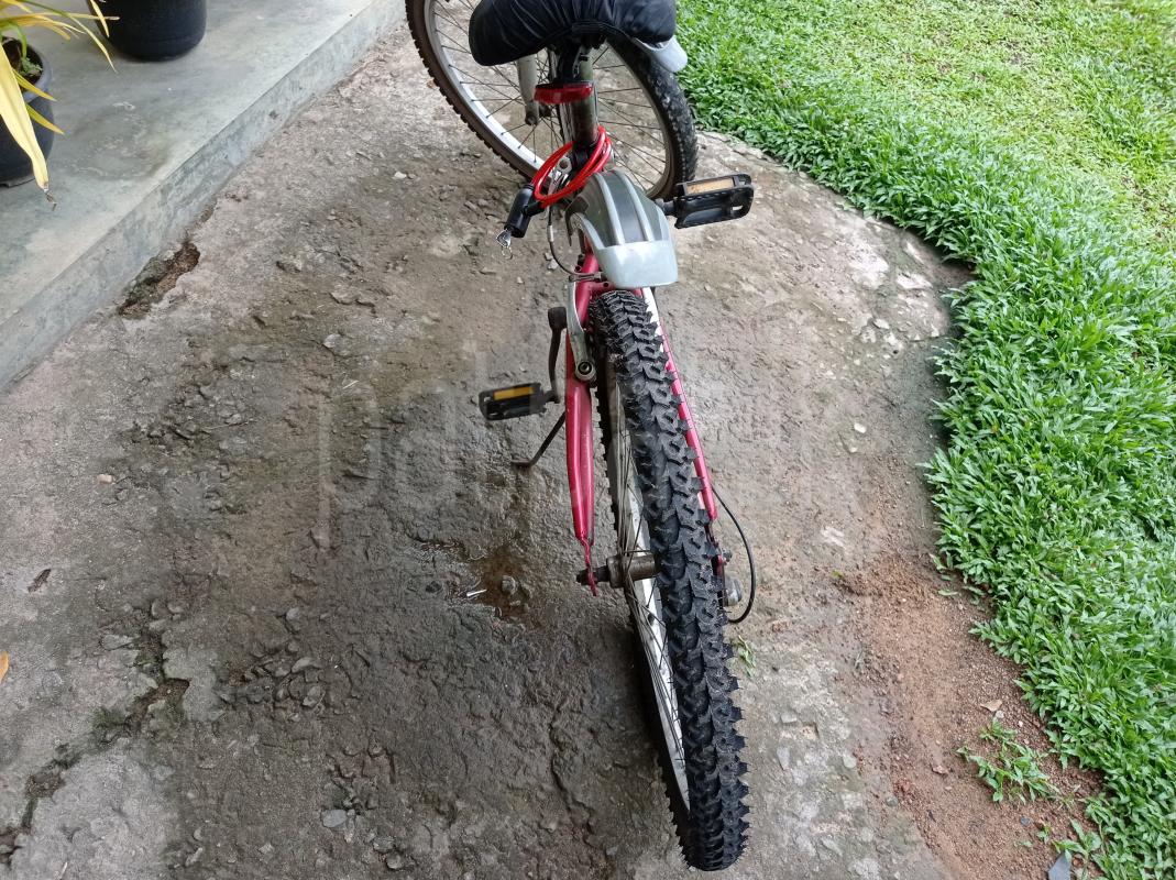 Advertisement image 4