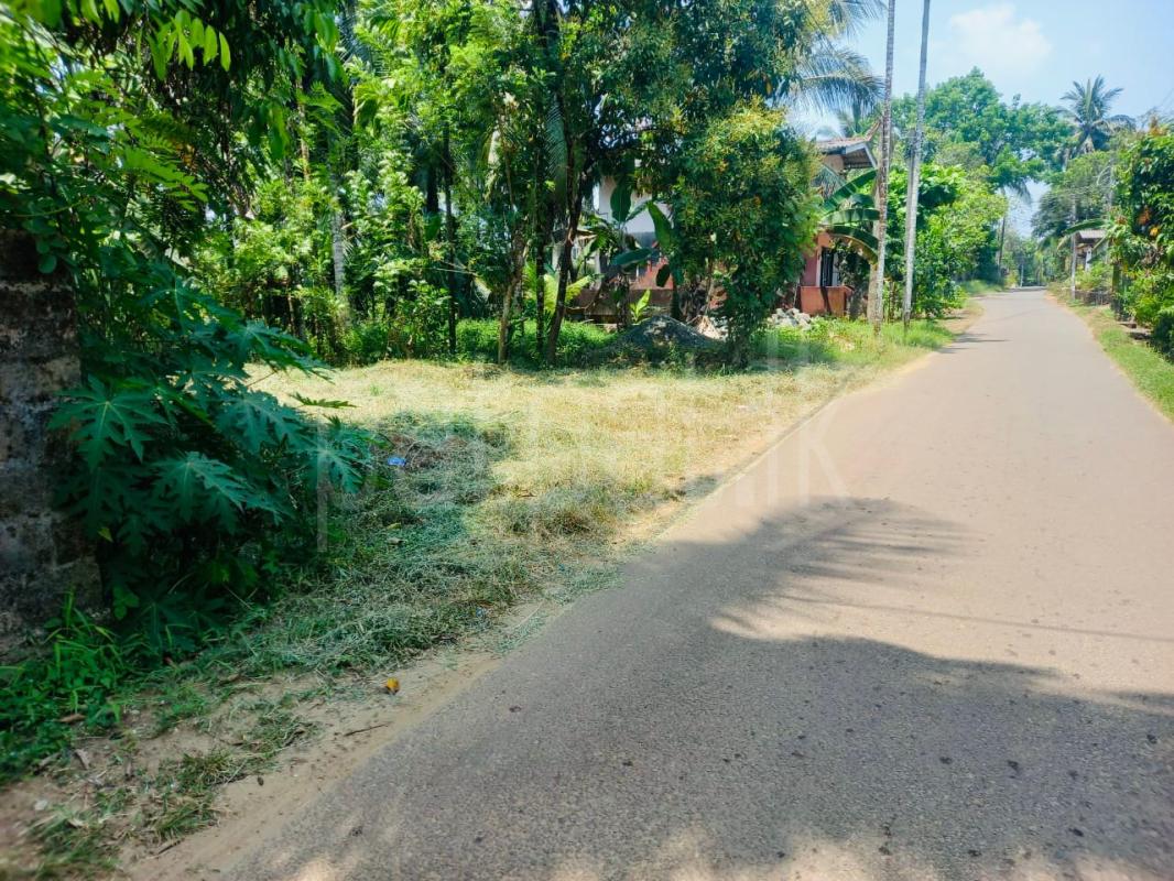 Residential Land for Sale in Ratnapura ads-image-1