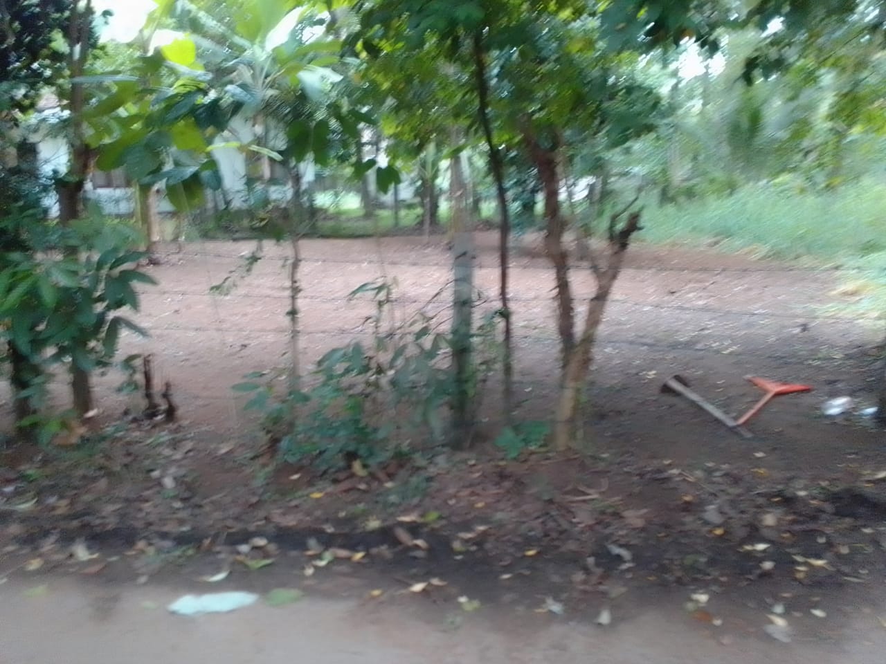 Residential Land for Sale in Seeduwa