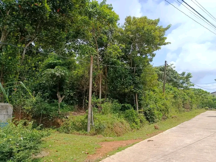 Commercial Land for Sale in Gamagoda