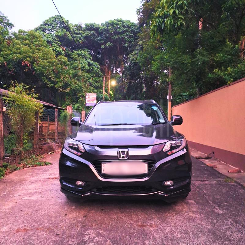 Advertisement image 1