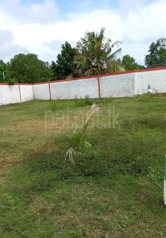 Commercial Land for Sale in Panadura