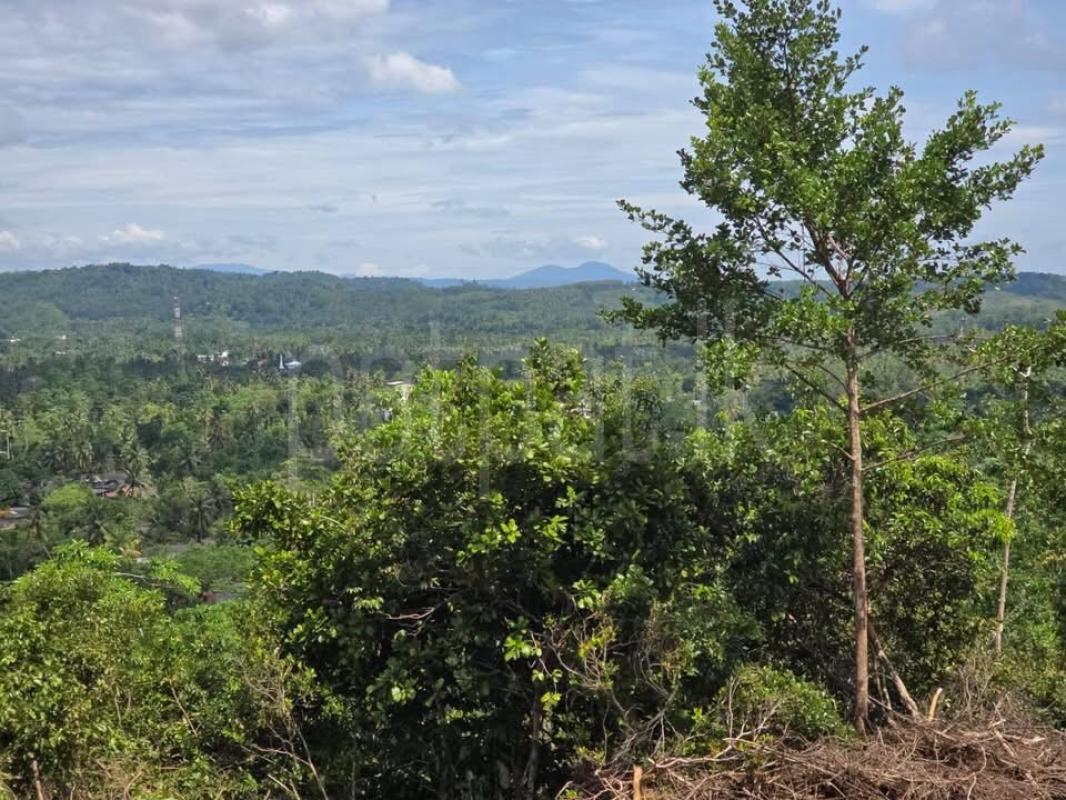 Commercial Land for Sale in Weligama