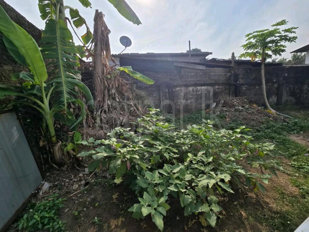 Commercial Land for Sale in Ratmalana ads-image-1