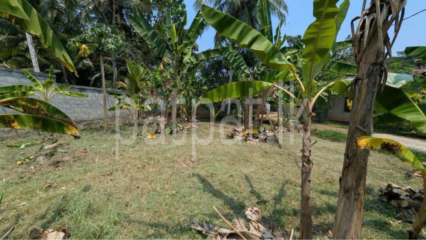 Residential Land for Sale in Yakkala