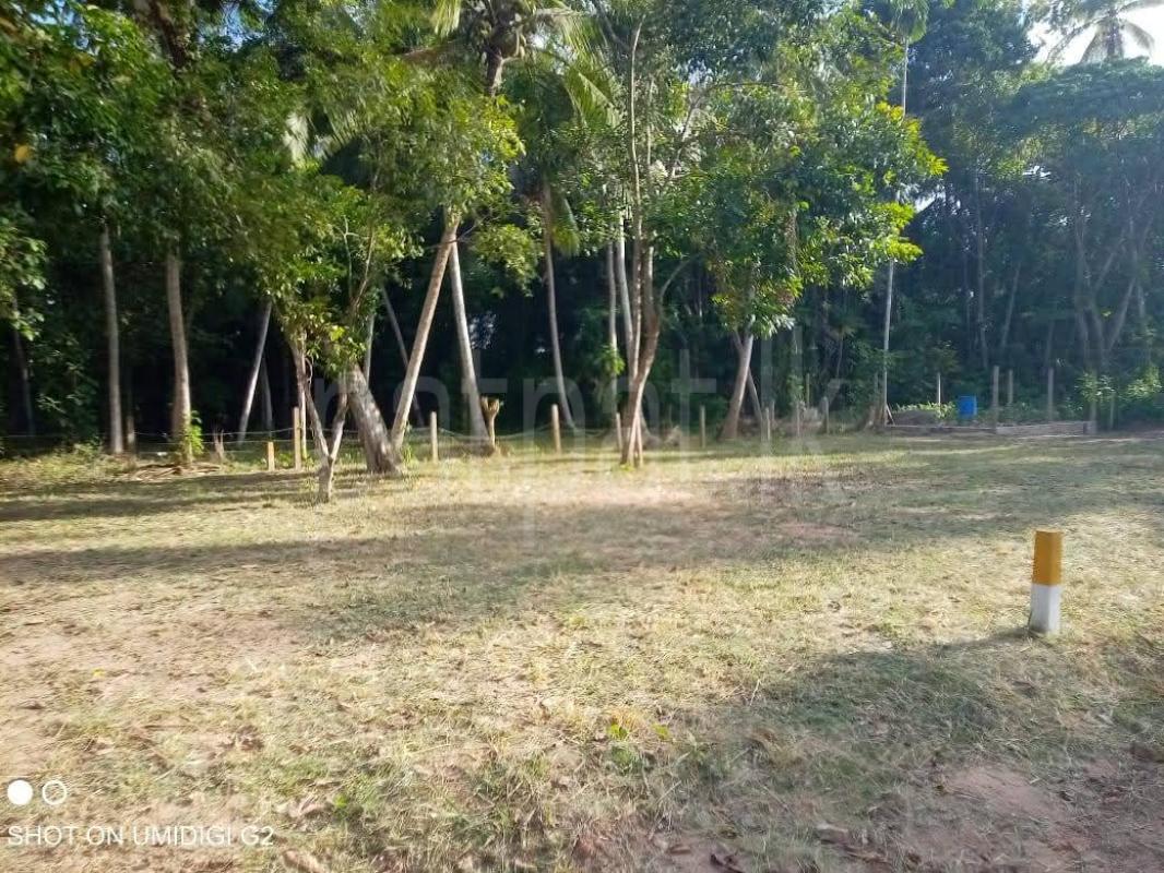 Commercial Land for Sale in Divulapitiya