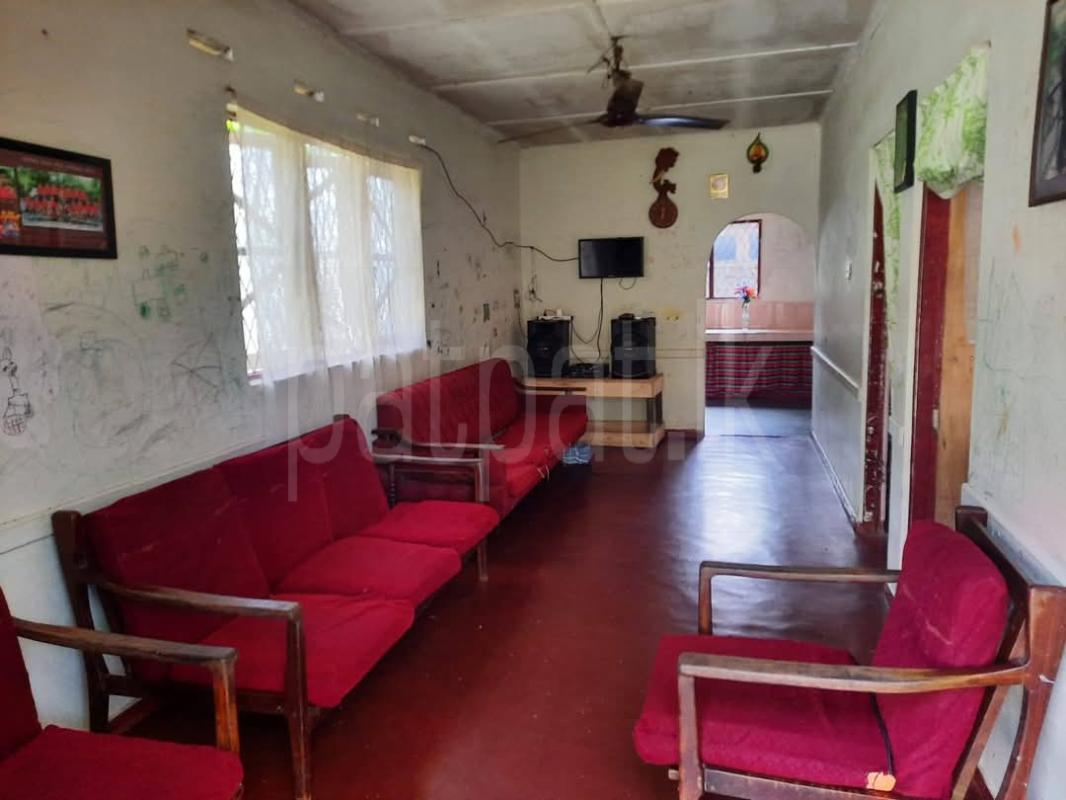 Advertisement image 6