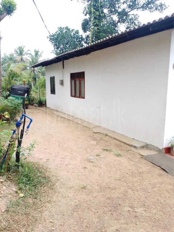 House for Sale in Piliyandala
