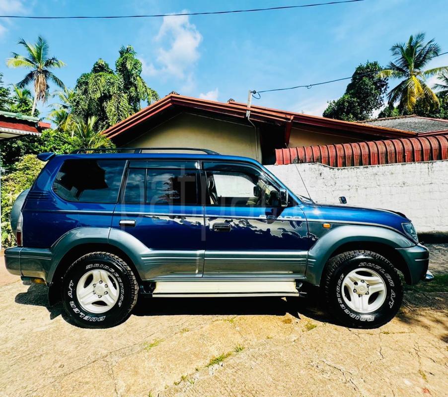 Advertisement image 5