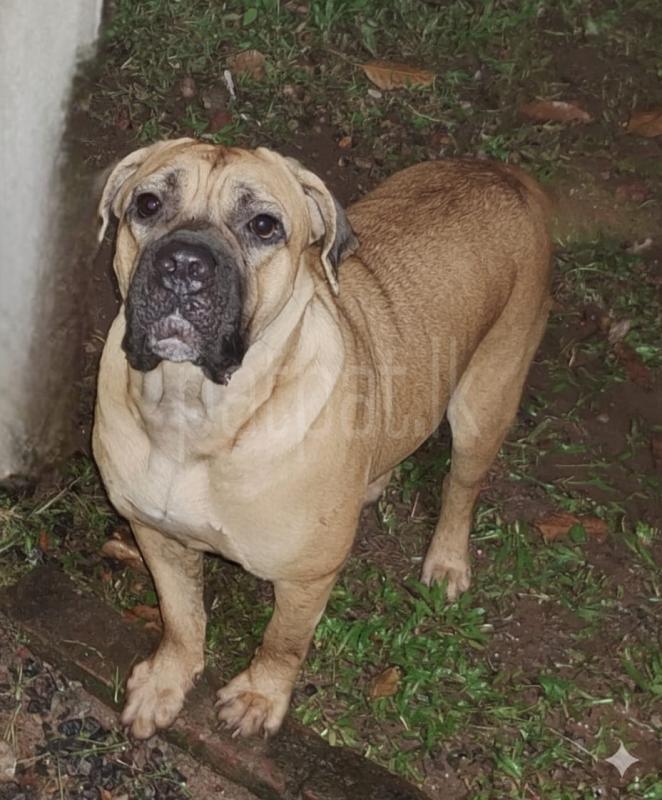 Advertisement image 4