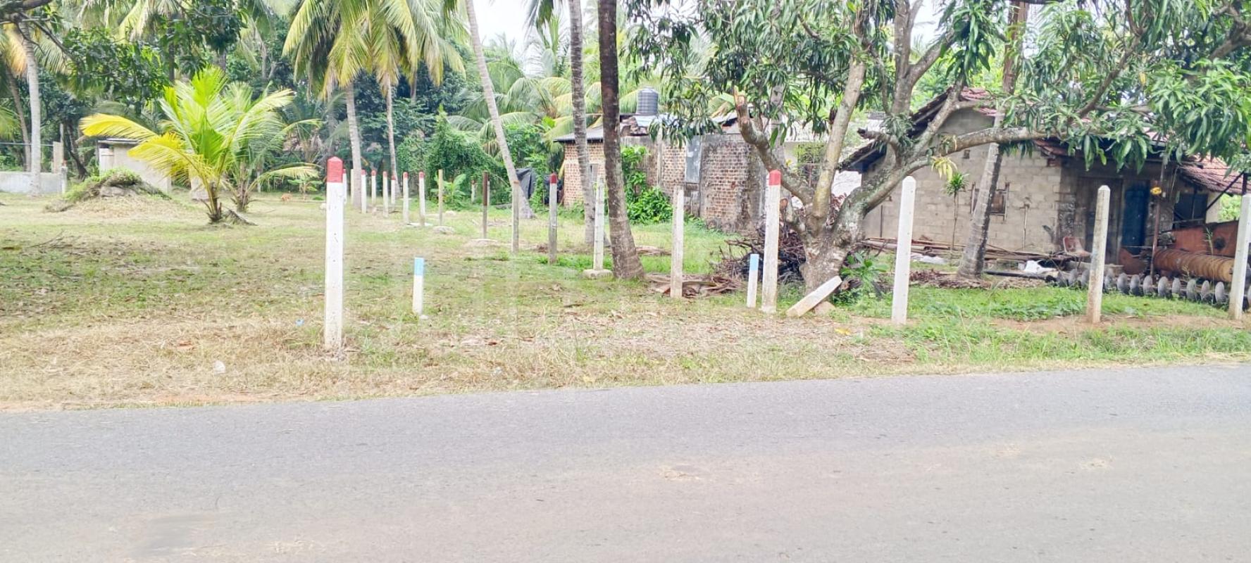 Residential Land for Sale in Wellawa