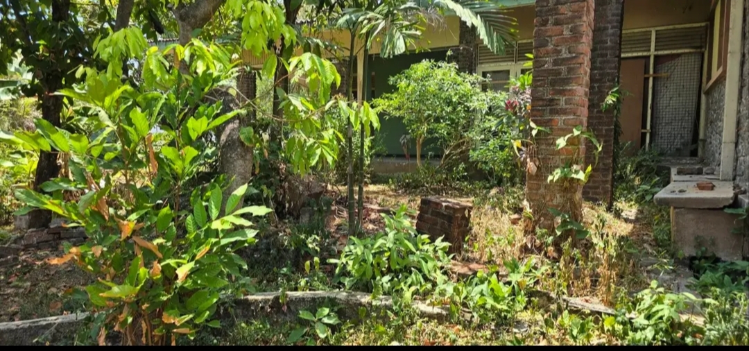 House for Sale in Dehiwala