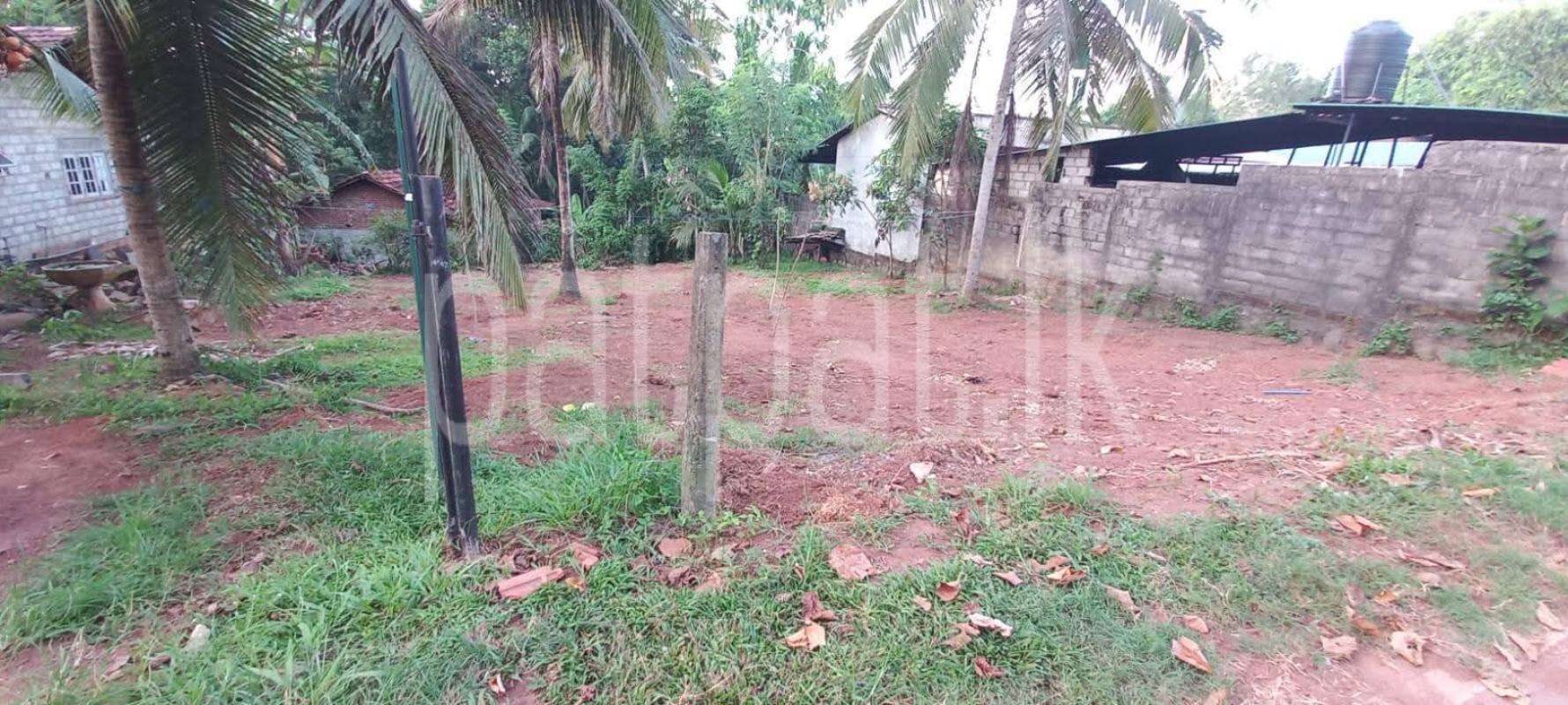 Residential Land for Sale in Katana ads-image-1