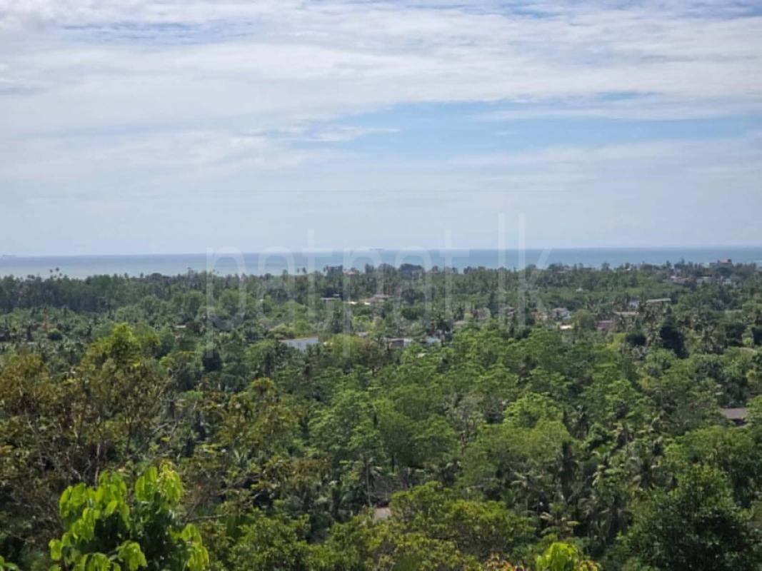 Commercial Land for Sale in Weligama
